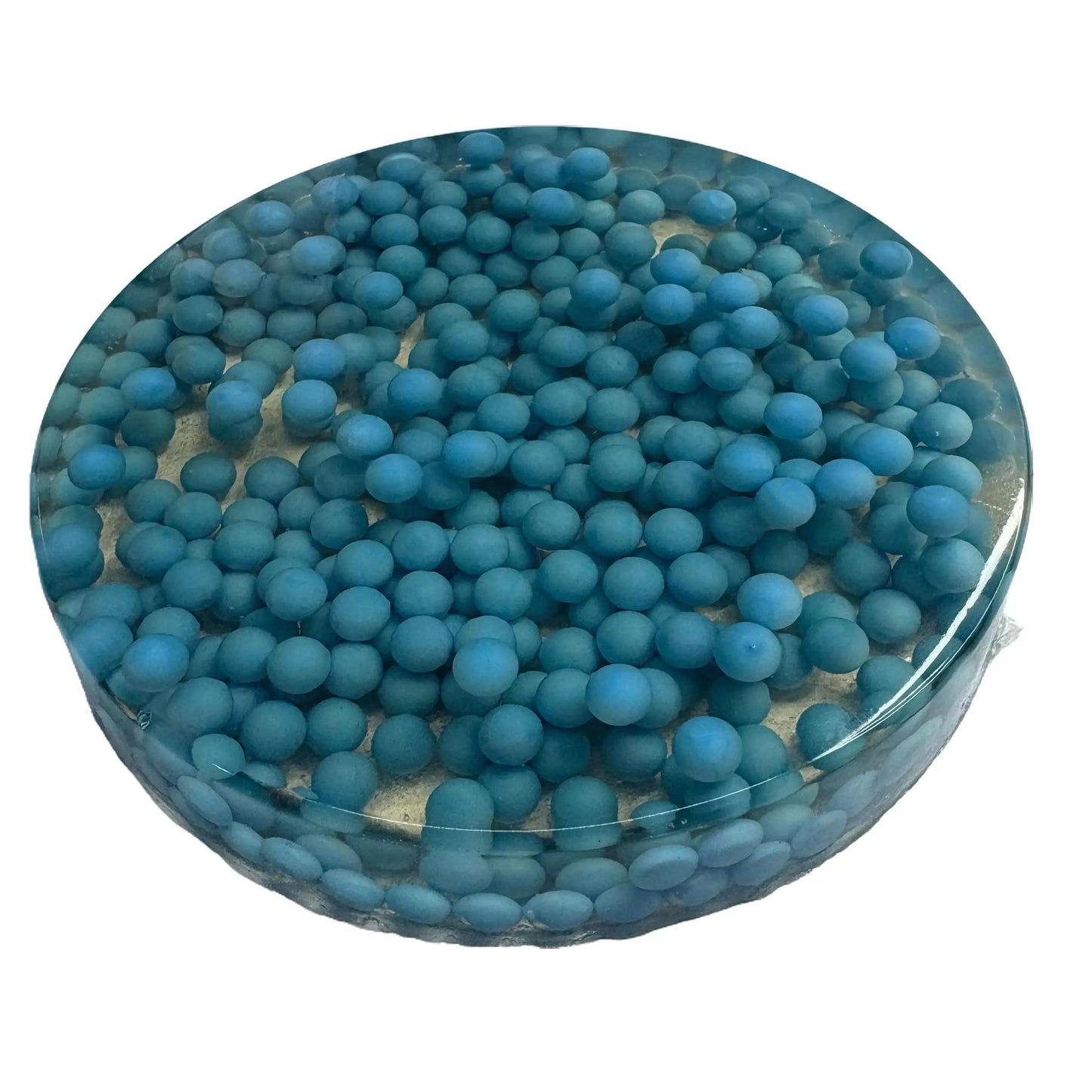 Reuseable Picky Pad The Blue Lagoon w/ OVER 300 BEADS, biodegradable, stress relief, fidget toy picking squishy great for fine motor skills!